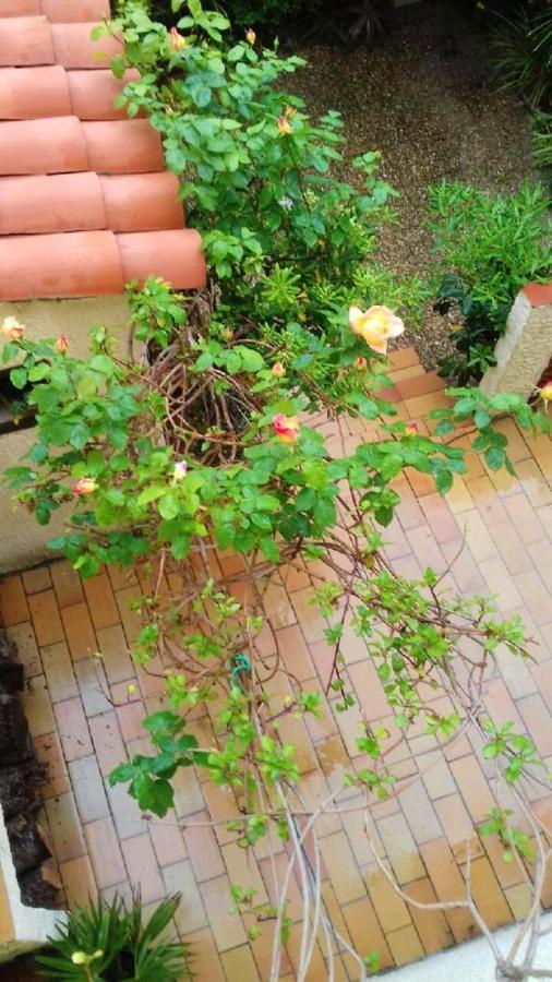 Maison Charmante A Sainte-Marie Avec Grand Jardin מראה חיצוני תמונה